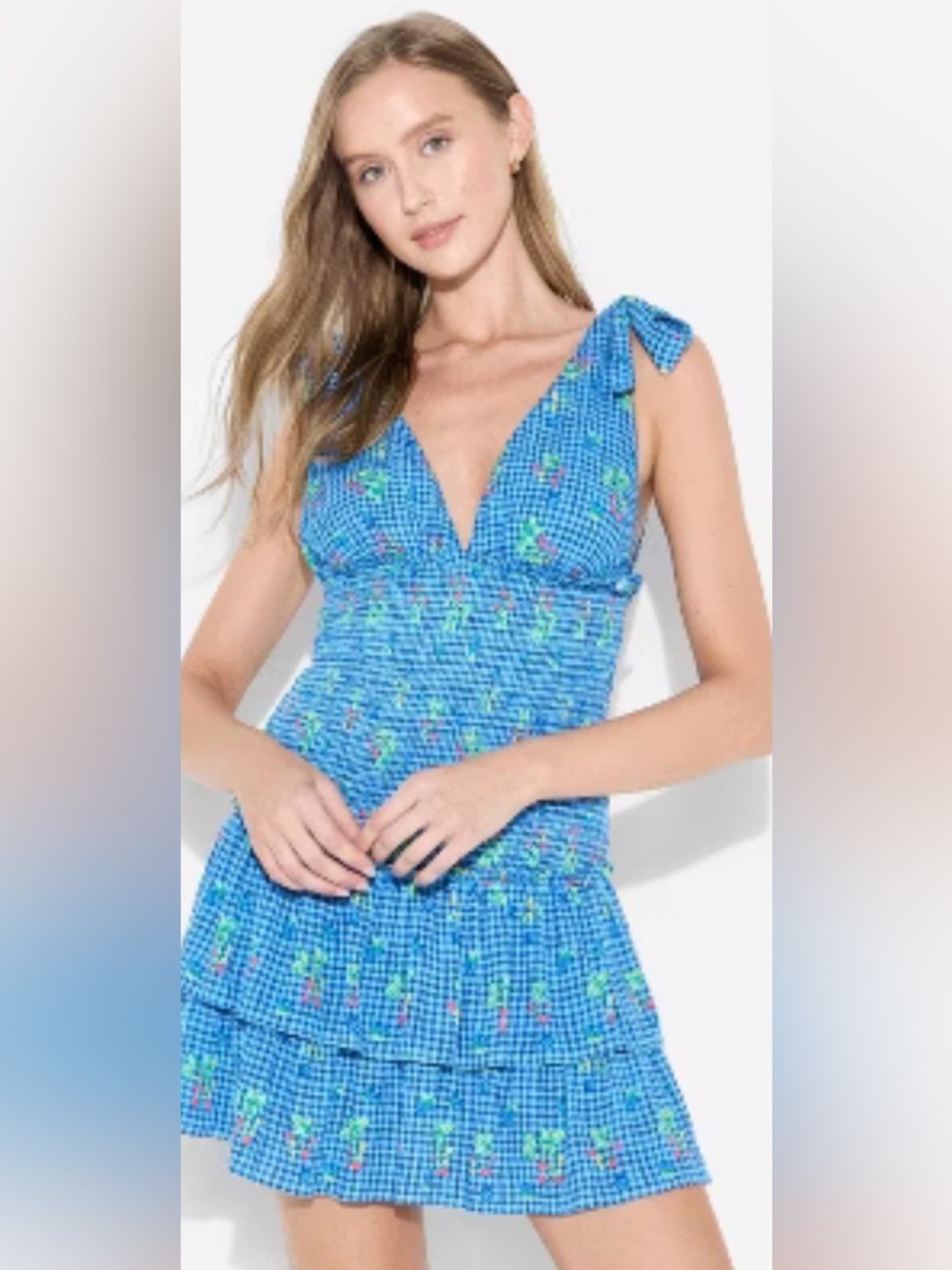 wild fable Blue Floral Mini Dress
